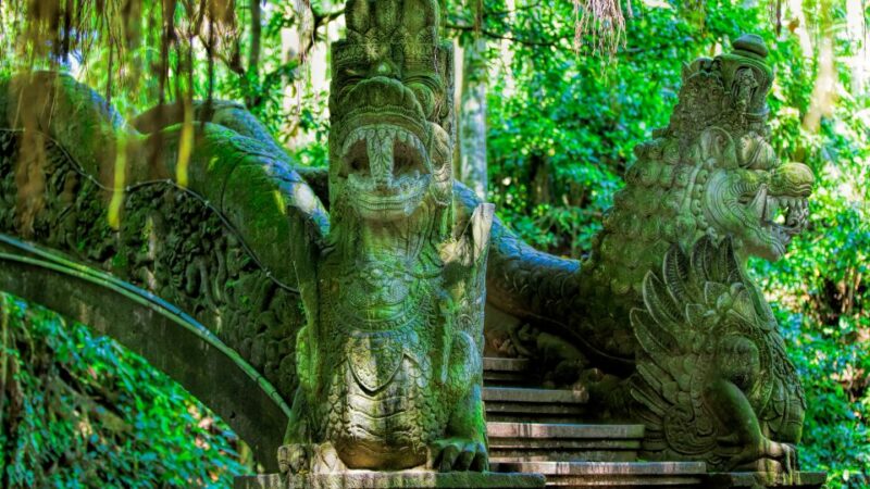 Bali: Ubud Monkey Forest Private Tour, Luxury Car - Key Points