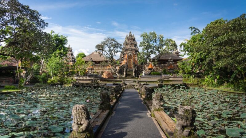 Bali: Ubud Monkey Forest Private Tour, Luxury Car - Itinerary Highlights