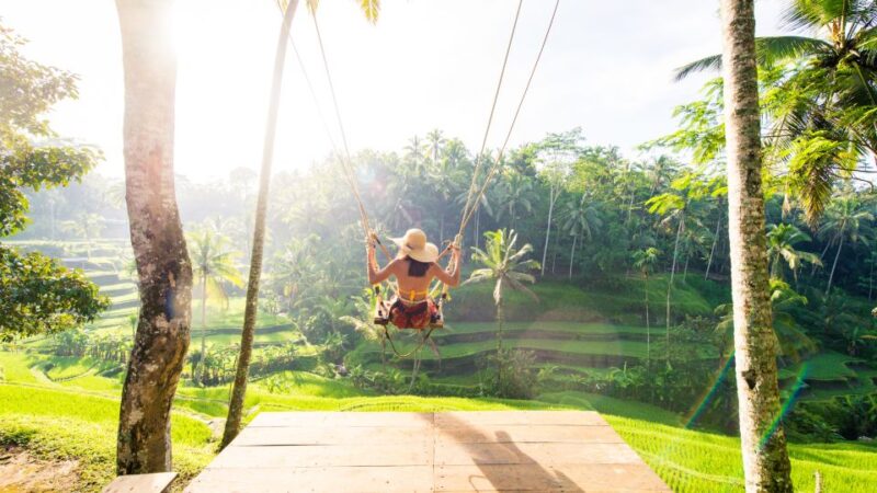 Bali: Ubud Monkey Forest Private Tour, Luxury Car - Inclusions