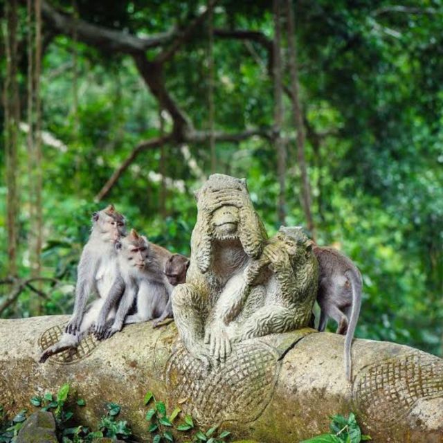 Bali Ubud : Monkey Forest, Waterfall , Temple - Attractions Included
