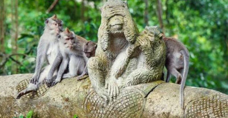 Bali Ubud : Monkey Forest, Waterfall , Temple - Sacred Monkey Forest Sanctuary
