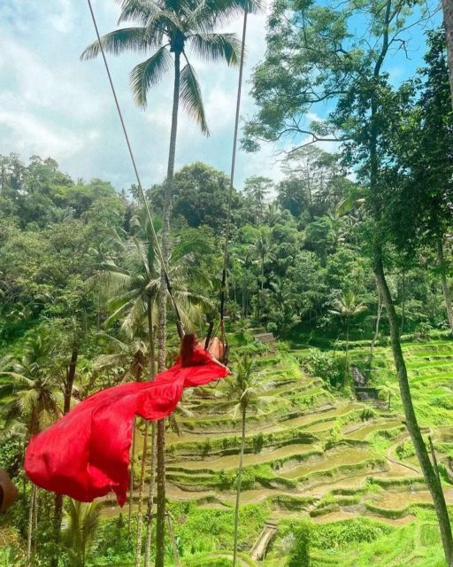 Bali Ubud : Monkey Forest, Waterfall , Temple - Tegalalang Rice Terrace