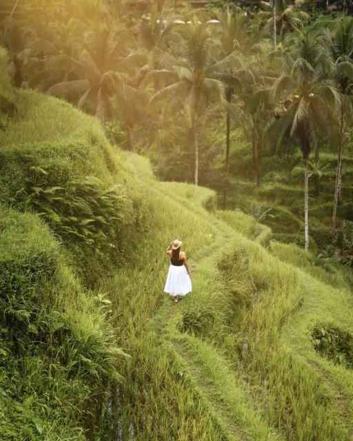 Bali Ubud : Monkey Forest, Waterfall , Temple - Included Services