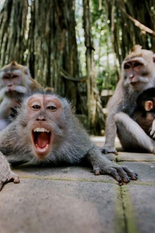 Bali: Ubud Nature Tour - Key Points