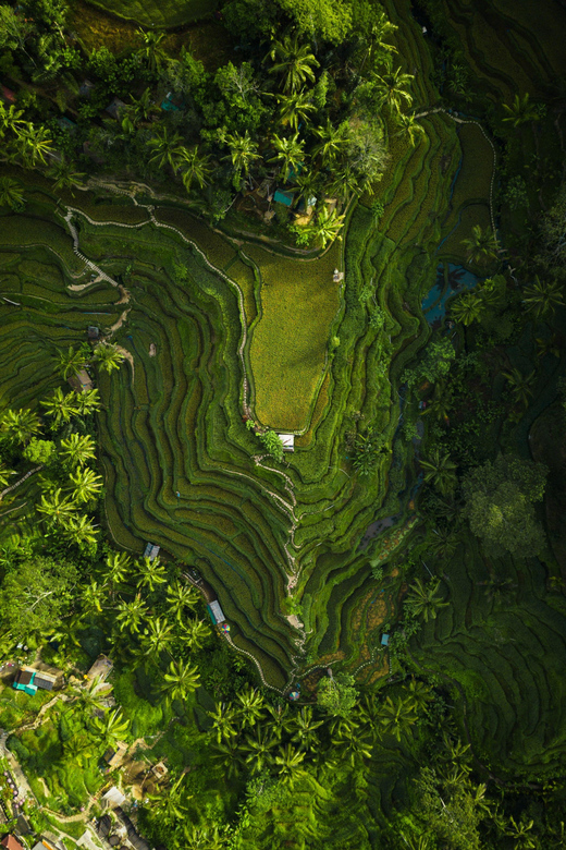 Bali: Ubud Private Car Charter With Driver - Packing Recommendations