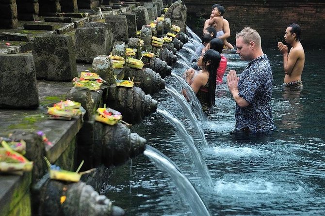 Bali Ubud Private Shore Excursion (Pickup Cruise Port) - Inclusions