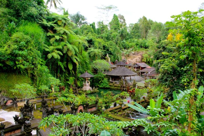 Bali: Ubud Rice Terraces, Temples and Volcano Day Trip - Participant Information