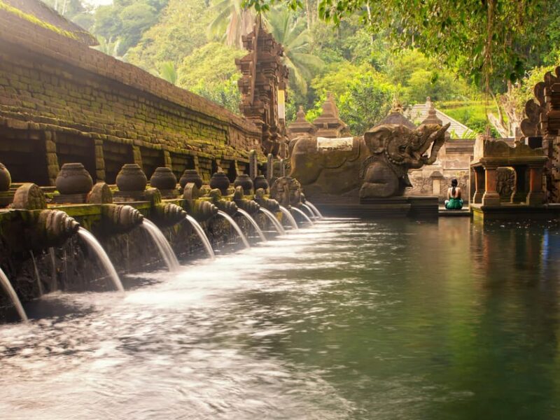 Bali: Ubud Scooter Tour, Purification, Rice Terraces & Falls - Key Points