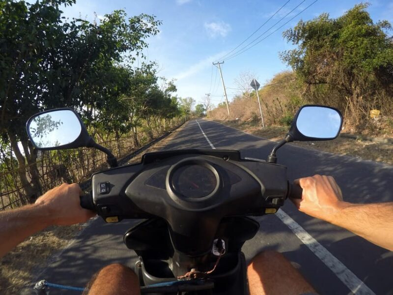 Bali: Ubud Scooter Tour, Purification, Rice Terraces & Falls - Inclusions and Exclusions