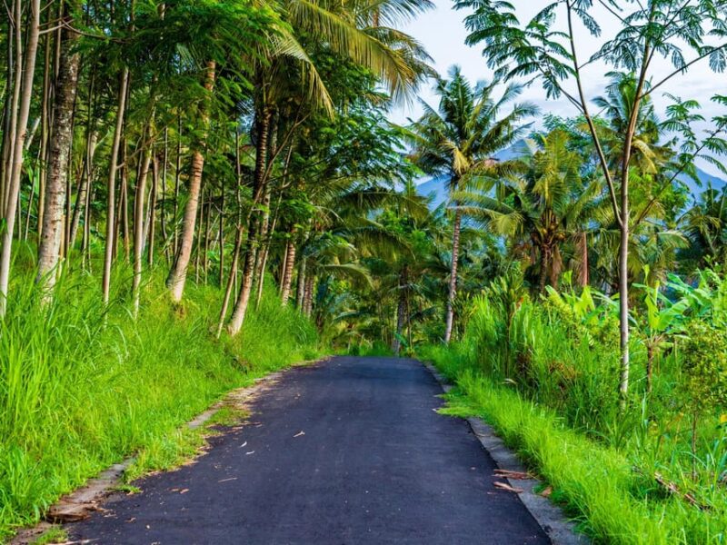 Bali: Ubud Scooter Tour, Purification, Rice Terraces & Falls - Pickup and Drop-off Locations