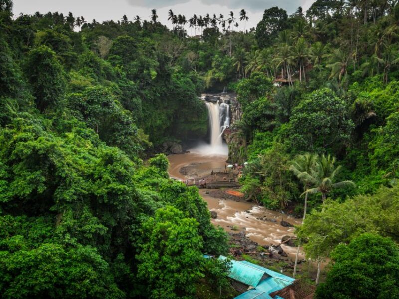 Bali: Ubud Secret Journey Private Tour, Luxury Car - Key Points