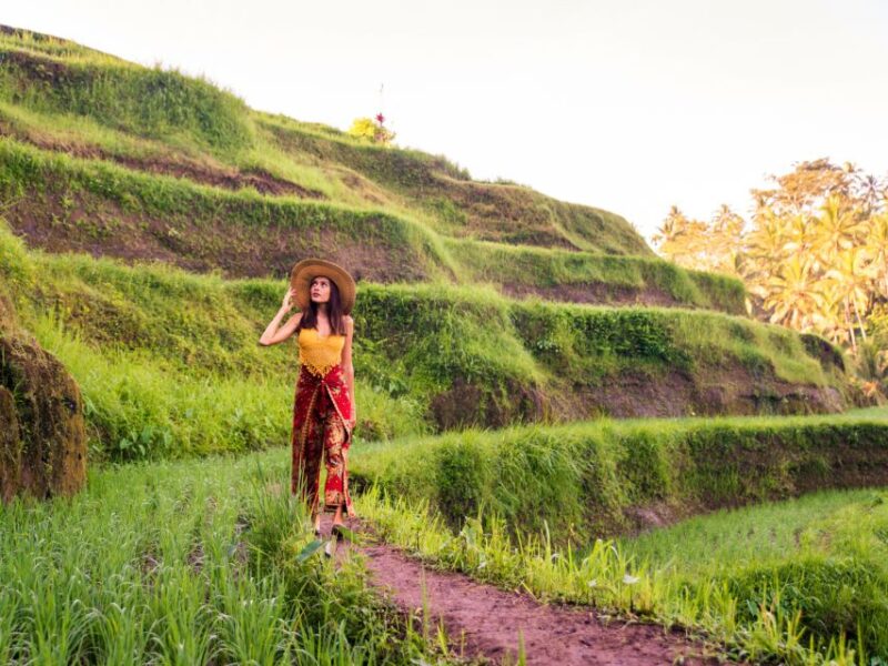 Bali: Ubud Secret Journey Private Tour, Luxury Car - Inclusions