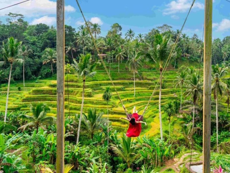 Bali: Ubud Secret Waterfalls, Temple & Rice Terrace Tour - Itinerary and Highlights