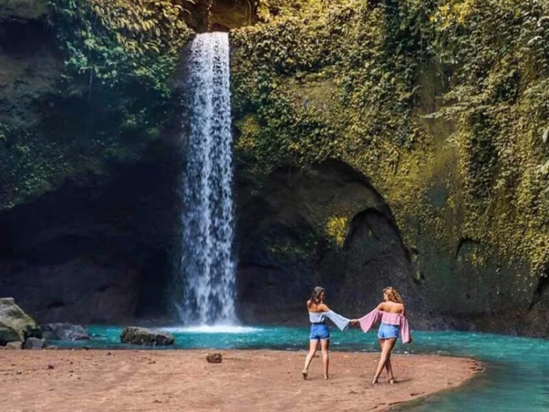 Bali: Ubud Secret Waterfalls, Temple & Rice Terrace Tour - Included Services