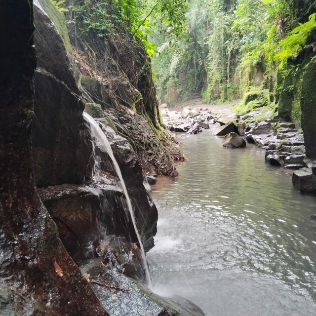 Bali: Ubud Short Trip Waterfall & Rice Terraces Walk - Itinerary and Experience