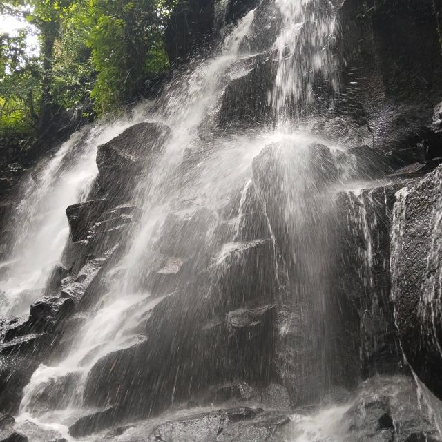 Bali: Ubud Short Trip Waterfall & Rice Terraces Walk - Group Size and Tour Guide