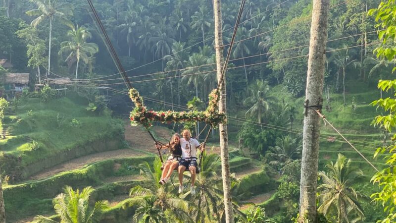 Bali: Ubud Swing Experience With Jungle View - Important Information