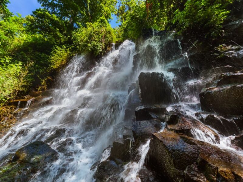 Bali : Ubud Tropical Trails, Waterfall & Rice Terraces. - Optional Activities
