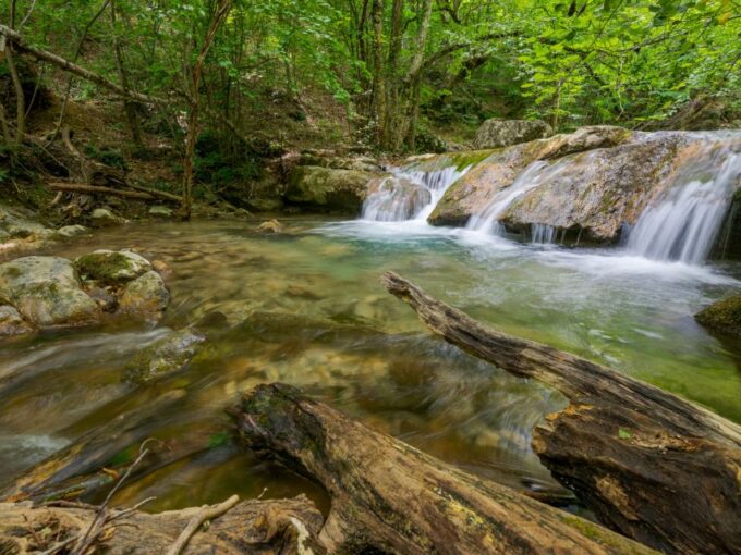 Bali : Ubud Tropical Trails, Waterfall & Rice Terraces. - Free Cancellation and Payment Options