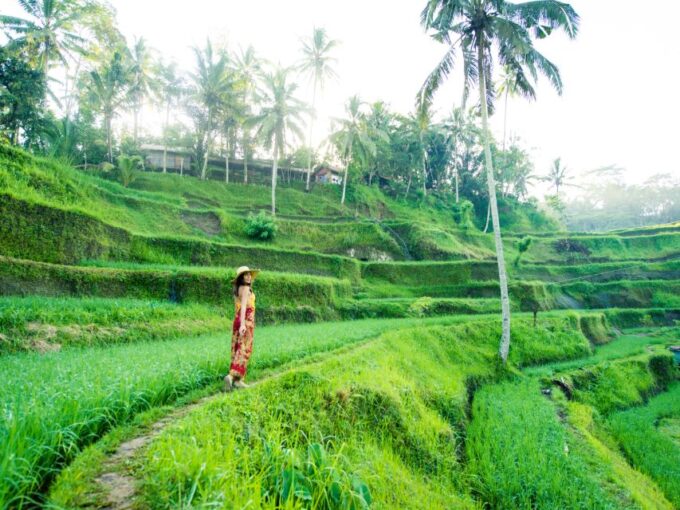 Bali : Ubud Tropical Trails, Waterfall & Rice Terraces. - Itinerary Flexibility