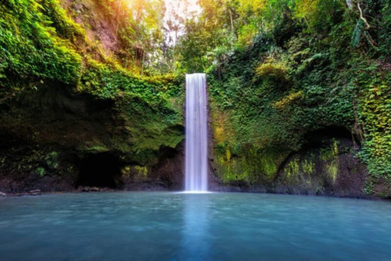 Bali: Ubud Waterfall Tour - Highlights and Attractions