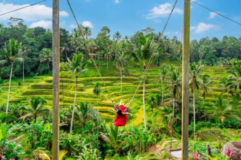 Bali: Ubud Waterfall Tour - Preparation and Customer Feedback