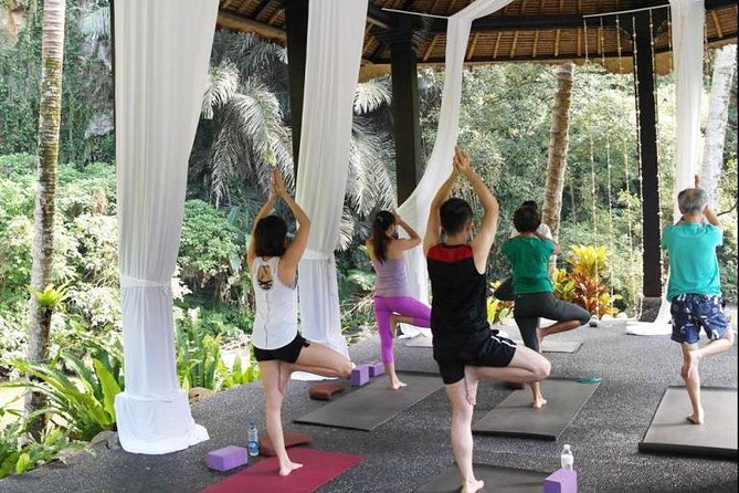 Bali Ubud Yoga Class - Class Highlights