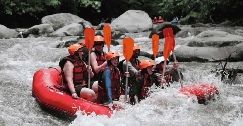Bali: Ultimate White Water Rafting Experience & Buffet Lunch - Experience Highlights