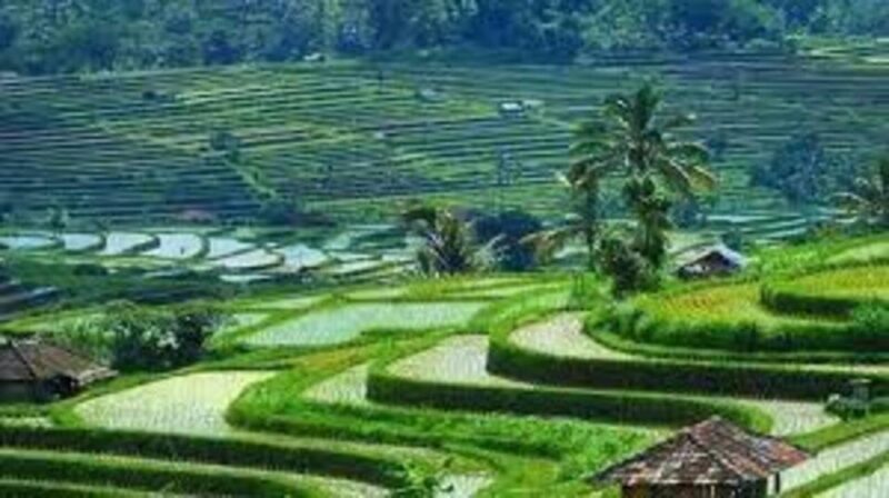 Bali: Ulun Danu Beratan, Jatiluwih, Leke Leke, Tanah Lot - Important Information