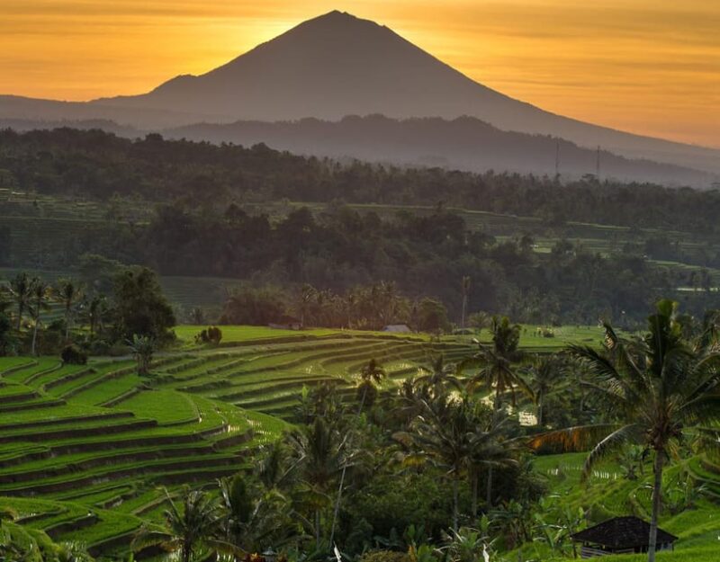 Bali Ulundanu Beratan Lake Temple & Tanah Lot Tour - Taman Ayun Temple