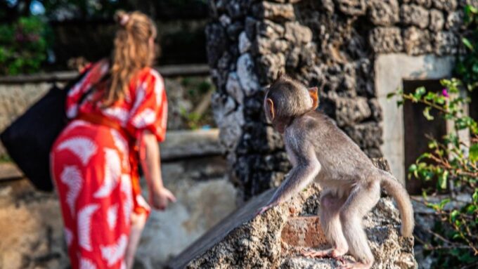 Bali: Uluwatu Temple, Kecak Fire Dance & Jimbaran Bay - Frequently Asked Questions