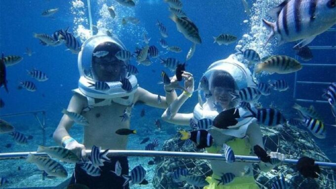 Bali: Underwater Sea Walking Experience & Uluwatu Temple - Frequently Asked Questions