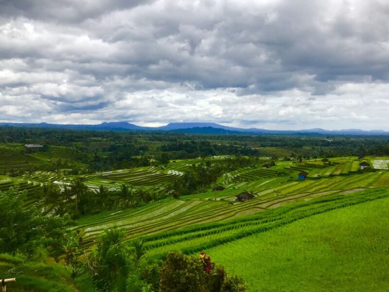 Bali UNESCO Sites: Private Guided Full-Day Tour - Optional Add-ons