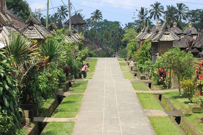 Bali Village & Bamboo Forest Visit - Tour Details