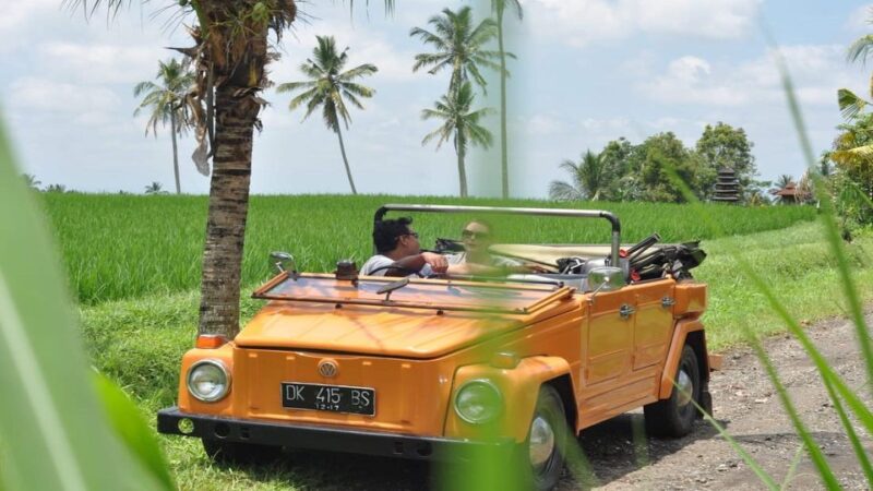 Bali: Vintage VW Jeep Countryside Safari - Included Features