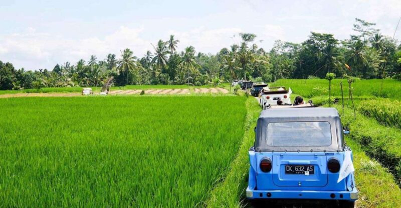 Bali: Vintage VW Jeep Countryside Safari - Unique Jeep Experience