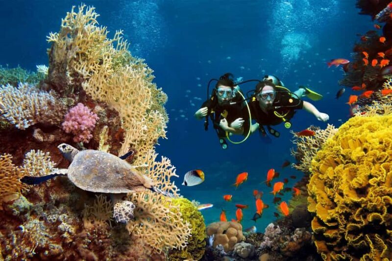 Bali Vip: Sea Walker Under Water Experience - What Makes This Experience Stand Out?