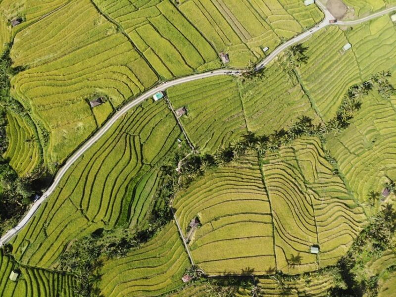 Bali Volkswagen Safari and Tanah Lot Sunset Tour - Tour Experience