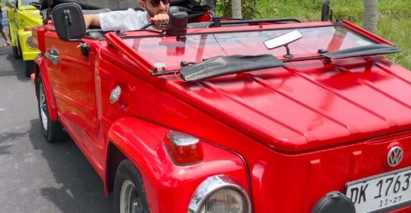 Bali Volkswagen Safari and Ubud Village Tour - Key Points