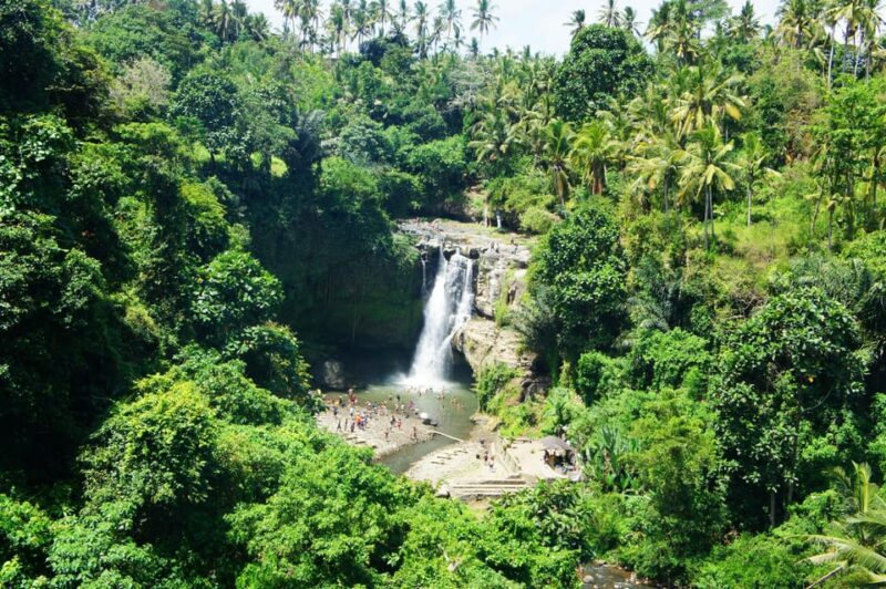 Bali Volkswagen Safari and Ubud Village Tour - Itinerary Highlights