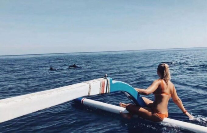 Bali: Watching Dolphin, Swimming & Snorkeling Tour - Swimming With Dolphins