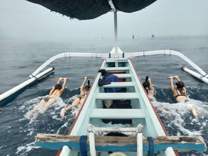 Bali: Watching Dolphin, Swimming & Snorkeling Tour - Snorkeling Exploration