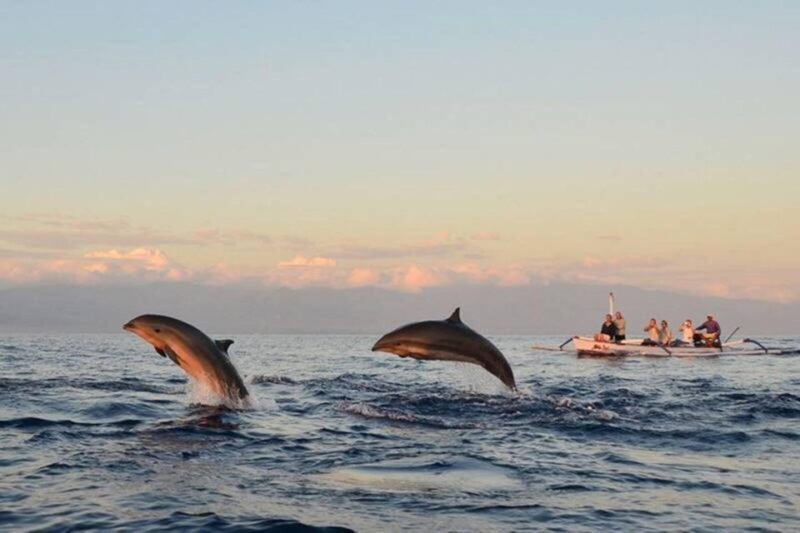 Bali: Watching Dolphin,Snorkeling & Hot Spring - Itinerary Highlights
