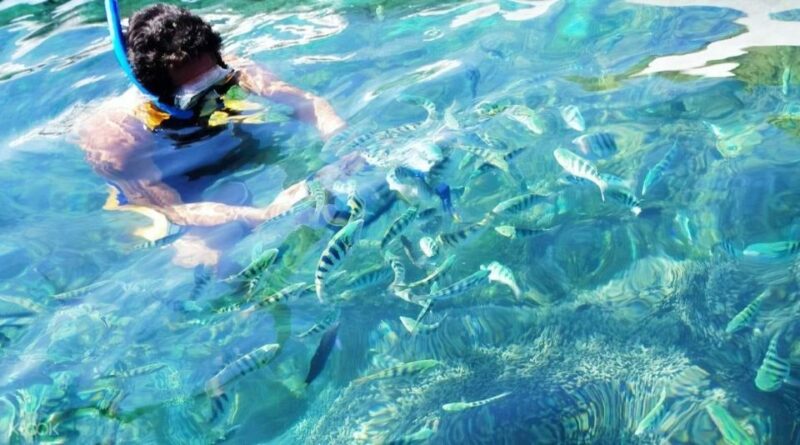 Bali: Watching Dolphin,Snorkeling & Hot Spring - Important Information