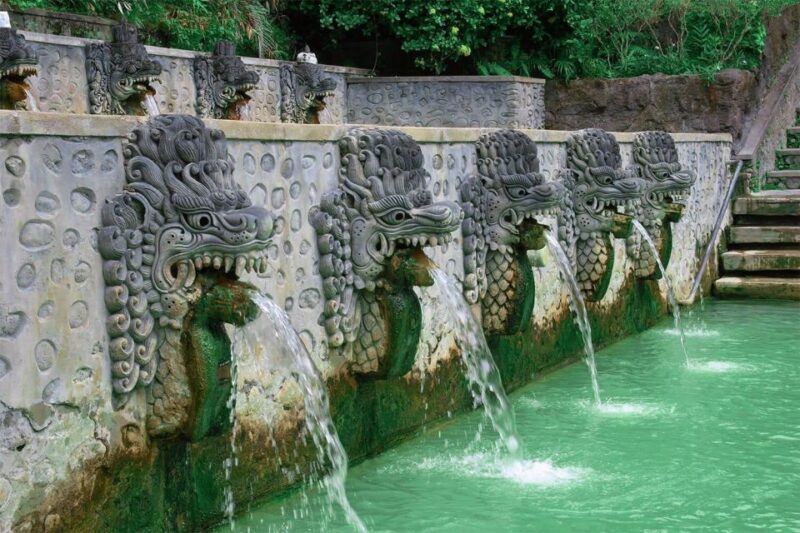 Bali: Watching Dolphin,Snorkeling & Hot Spring - Customer Reviews