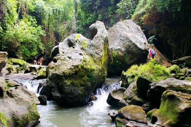 Bali Water Hidden Canyon Beji Guwang - Coffee Plantation and Silver Making