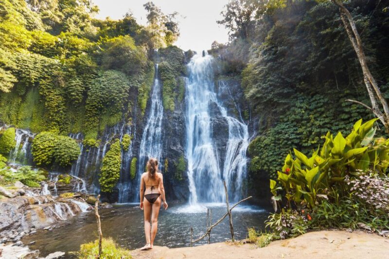 Bali: Water Temple, Waterfalls and Unesco Rice Terraces Tour - Itinerary Highlights