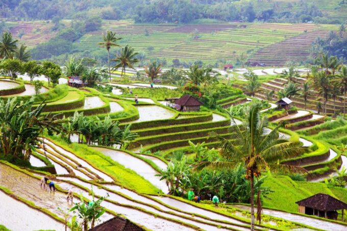 Bali: Water Temple, Waterfalls and Unesco Rice Terraces Tour - Frequently Asked Questions