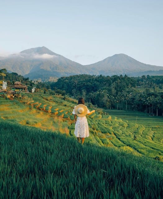 Bali: Waterfall, Jatiluwih Rice Field & Temples Private Tour - Frequently Asked Questions
