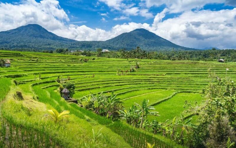 Bali: Waterfall, Rice Terraces, Temples and Sun-Set Day Tour - An In-Depth Look at the Tour Experience